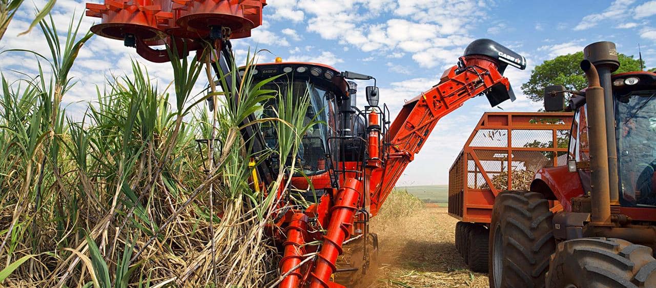 Homegrown ingenuity sees sugarcane harvester power into 75th year